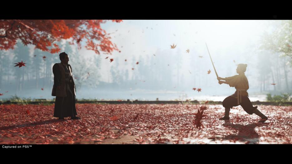 Ghost Of Tsushima Director'S Cut PS5 UK Usato Ghost Of Tsushima Director'S Cut PS5 UK Usato